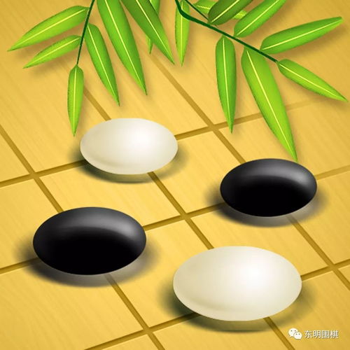 石河子圍棋協(xié)會(huì)第五屆會(huì)員擂臺(tái)賽先鋒之戰(zhàn)開(kāi)賽